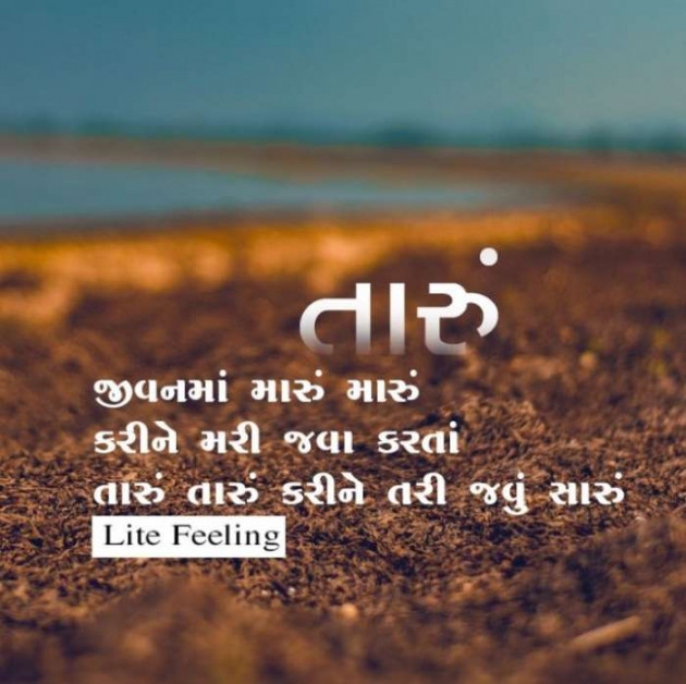 English Quotes by Jasmin Mistry Jasmin Mistry : 111147713