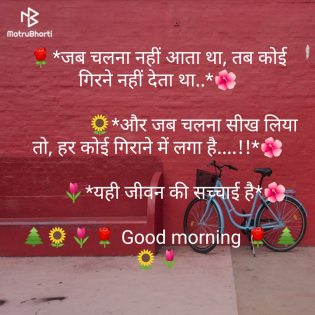 Hindi Quotes by Vikram Shah : 111148030