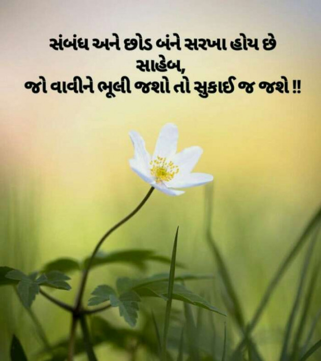 Gujarati Quotes by Arshad Nomani : 111148281