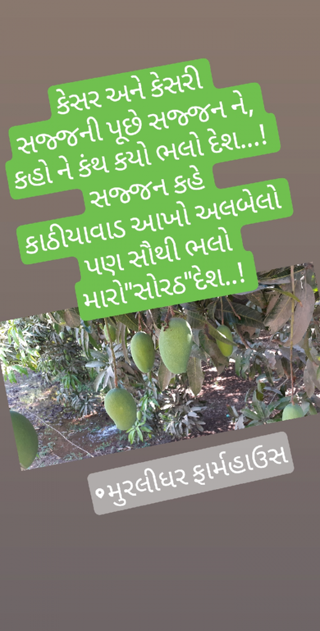 Gujarati Hiku by Ravi : 111148475