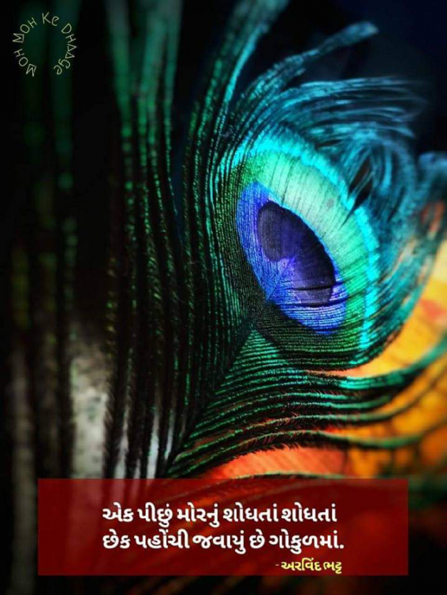 Gujarati Thought by Dharmesh Vala : 111148809