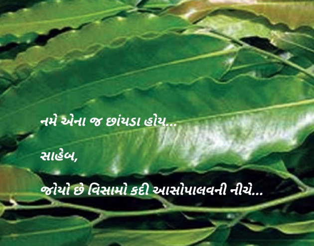 Gujarati Blog by Sajan Limbachiya : 111148869