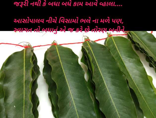 Gujarati Blog by Sajan Limbachiya : 111148872