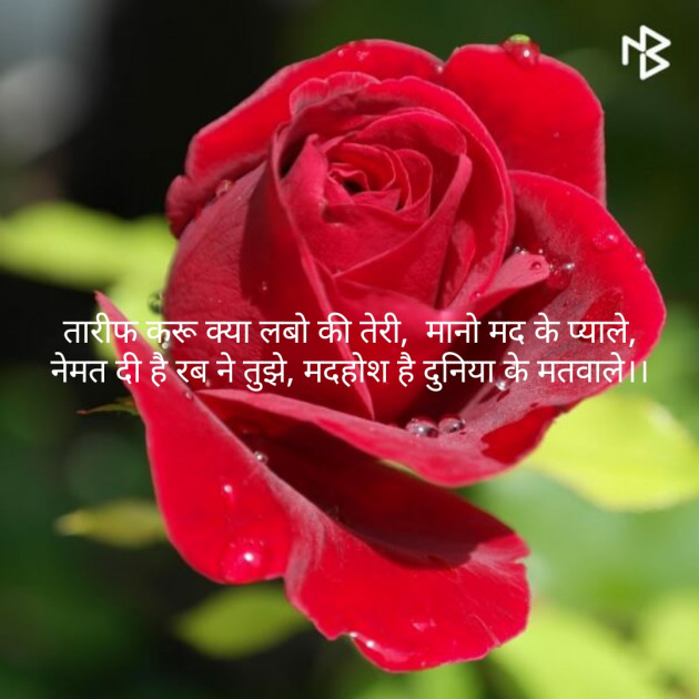 Hindi Shayri by Sharad Maloo : 111148873