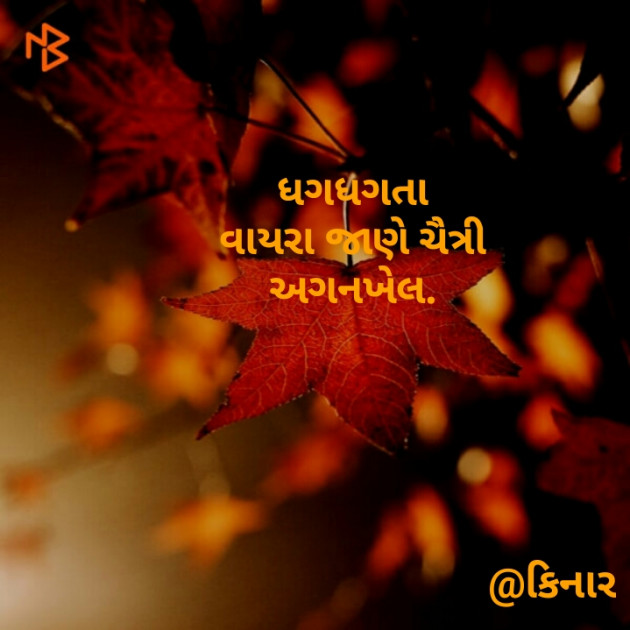 Gujarati Hiku by Kinar Rana : 111149347