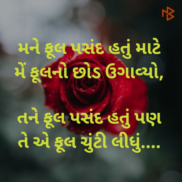 Gujarati Thought by Dharmesh Vala : 111149761