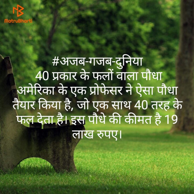 Hindi Motivational by Jahnavi Suman : 111149985