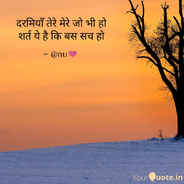 English Shayri by अnu : 111150109