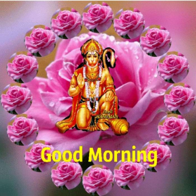 Gujarati Good Morning by Harshad Patel : 111150500