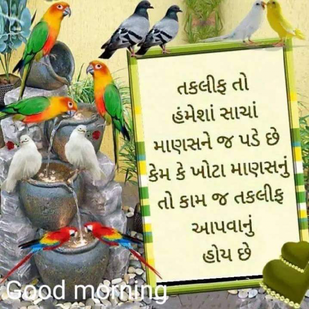 Gujarati Good Morning by Pratapsinh Gohil : 111150542