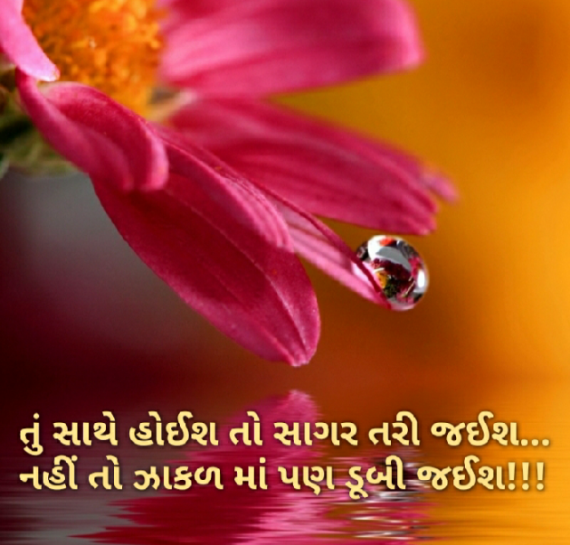 Gujarati Blog by Nidhi_Nanhi_Kalam_ : 111150565