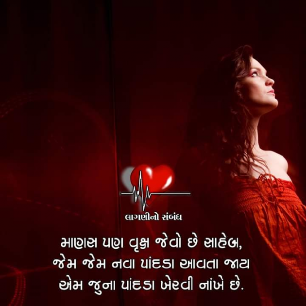 Hindi Shayri by SILENT KILLER : 111150722