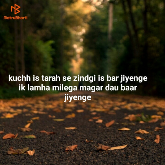 Hindi Shayri by Irfan Haaris : 111150996