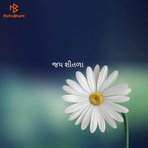 Gujarati Whatsapp-Status by Shriram Mistry : 111151152