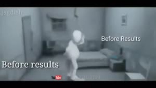 Funny Videos in English | English Funny Videos Download Free Funny Videos in English | English Funny Videos Download Free