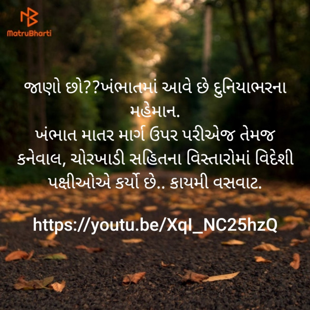 Gujarati Motivational by Shailesh Rathod : 111151413