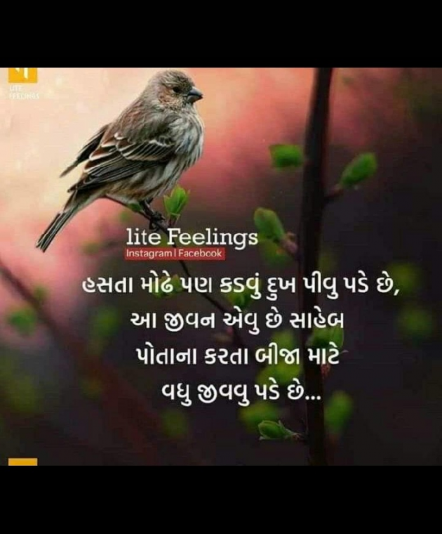 Gujarati Quotes by Naksh Parmar : 111151441