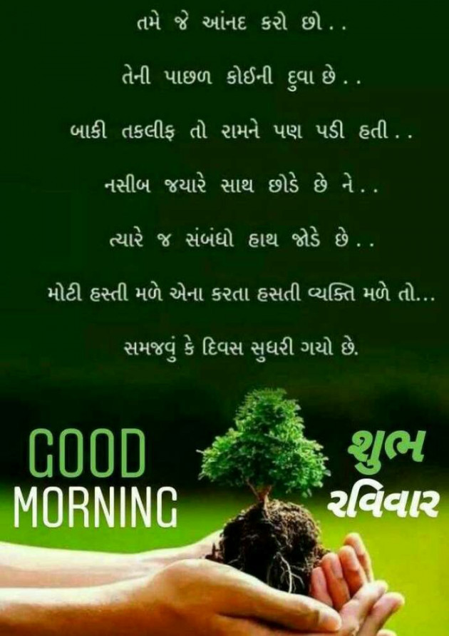 Gujarati Quotes by Mehul Kumar : 111151577