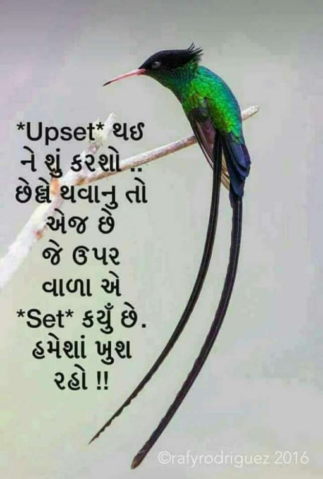 Gujarati Thought by Megha : 111151610