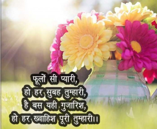 Post by Anmol Kumar on 28-Apr-2019 08:35am