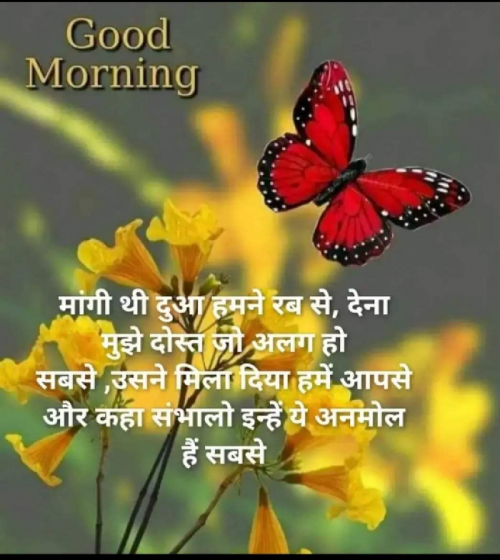 Post by Kuldeep Singh Singh on 28-Apr-2019 08:39am