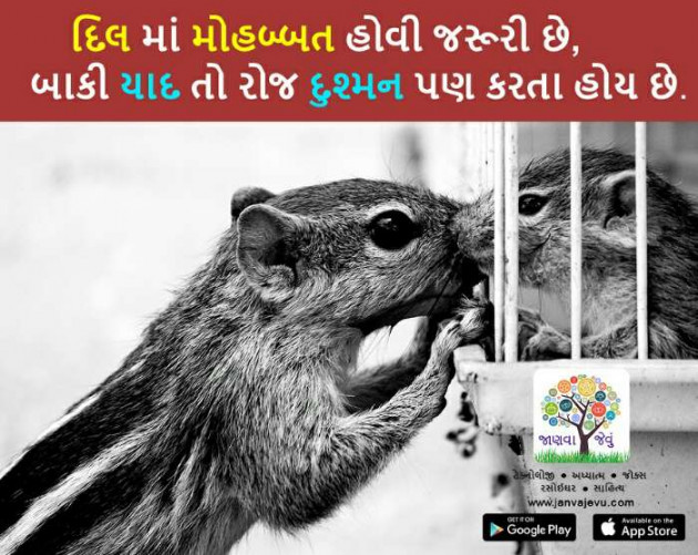 Gujarati Quotes by SARVAIYA JAYDEVSINH : 111151888