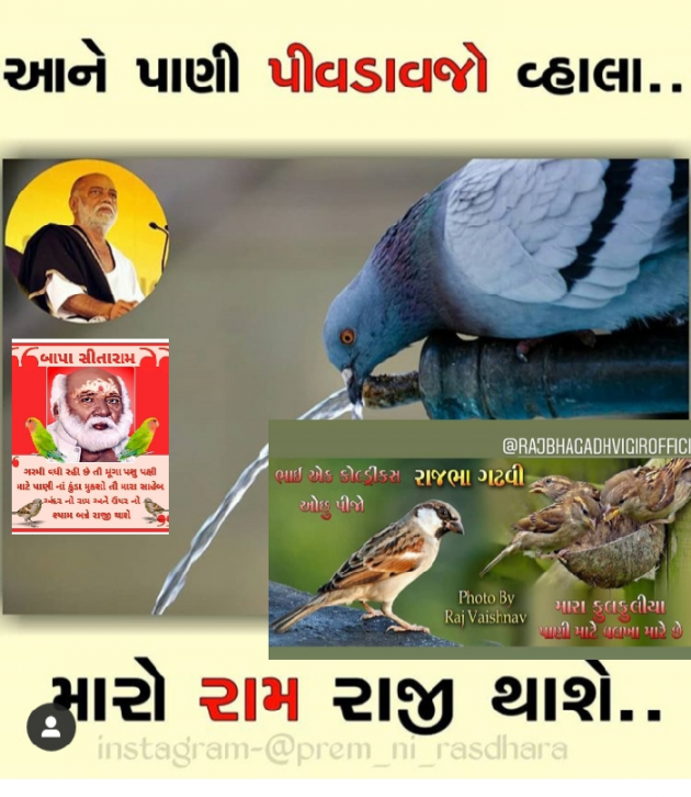 Gujarati Thought by AHIR K.R : 111151961
