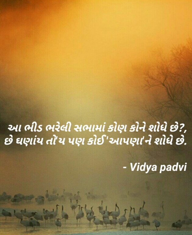 Gujarati Thought by Vidya : 111151982