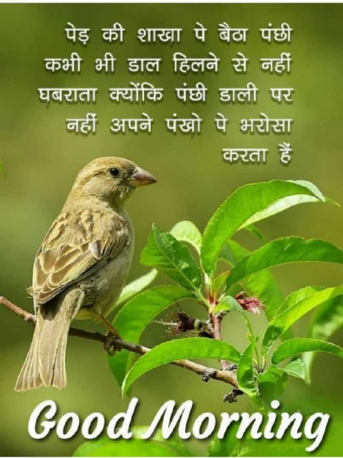 Post by Vivek yaduvanshi G on 28-Apr-2019 03:29pm