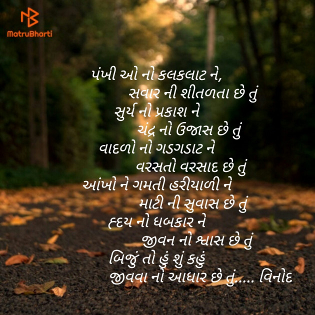 Gujarati Thought by વિનોદ. મો. સોલંકી .વ્યોમ. : 111152218