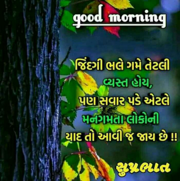 Gujarati Good Morning by Mehul Kumar : 111152676