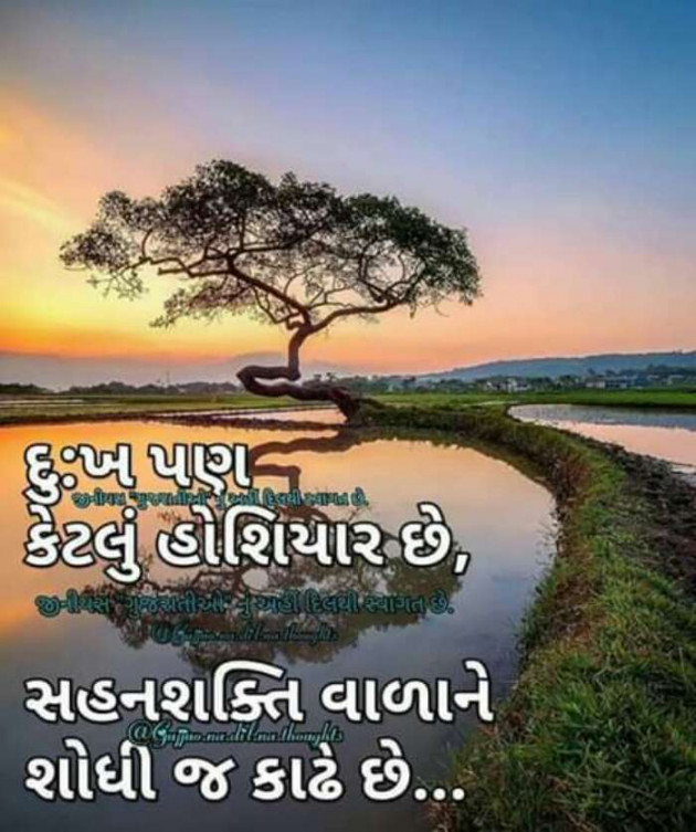 Gujarati Good Morning by Aarti : 111152696