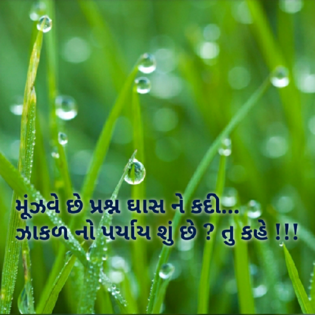 Gujarati Blog by Nidhi_Nanhi_Kalam_ : 111153346