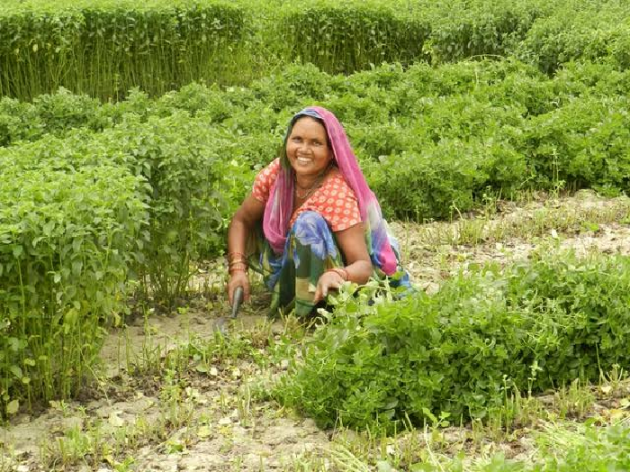 Hindi Thought by Neelima Kumar : 111153477