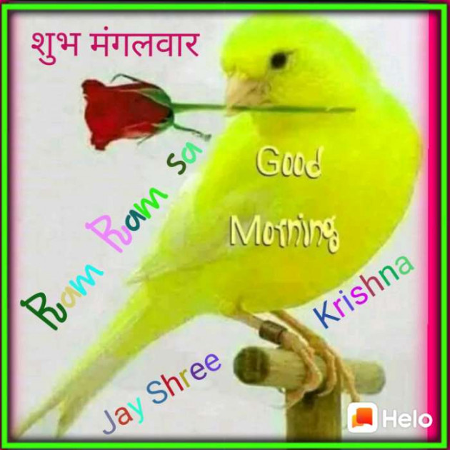 Hindi Good Morning by Prithviraj Patel : 111153864