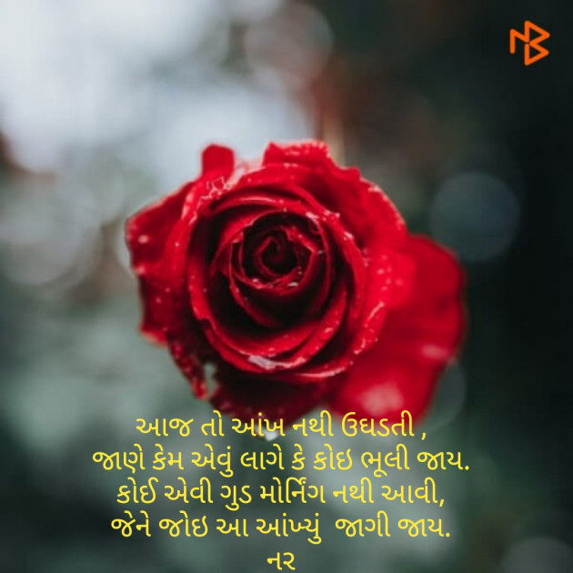 Gujarati Good Morning by Naranji Jadeja : 111153990