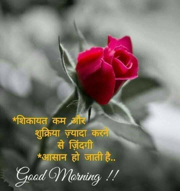 English Quotes by samir tilavat : 111154075