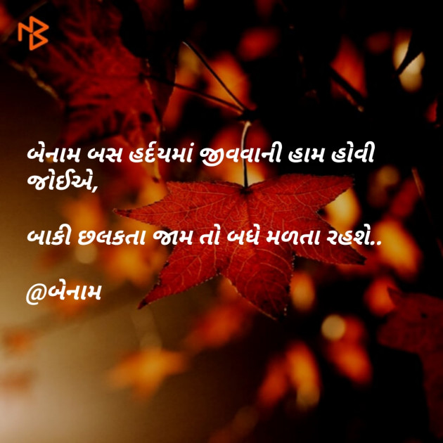 Gujarati Blog by Er.Bhargav Joshi અડિયલ : 111154392