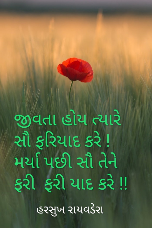 Gujarati Quotes by Harsukh Raivadera : 111154472