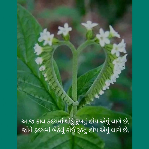 Gujarati Blog by patel : 111154519