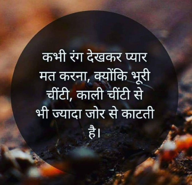 Gujarati Good Evening by The Boss : 111154538