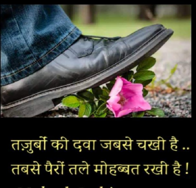 Gujarati Good Evening by The Boss : 111155530