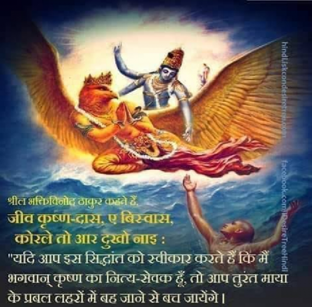 English Quotes by Bhanderi Paresh : 111156190