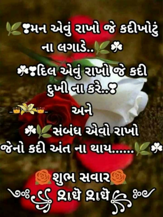 English Quotes by samir tilavat : 111156254