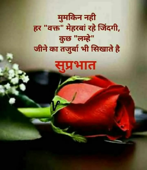 Post by Savi on 02-May-2019 11:23am