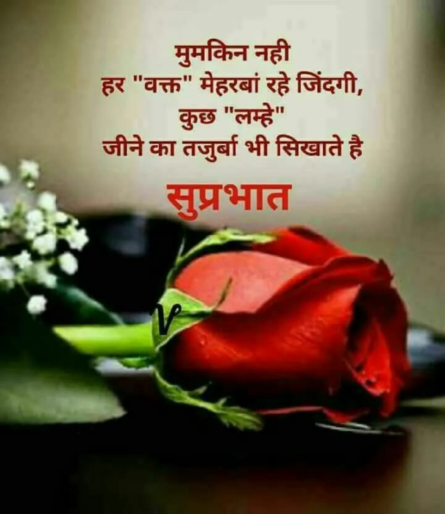 Hindi Quotes by Savi : 111156348