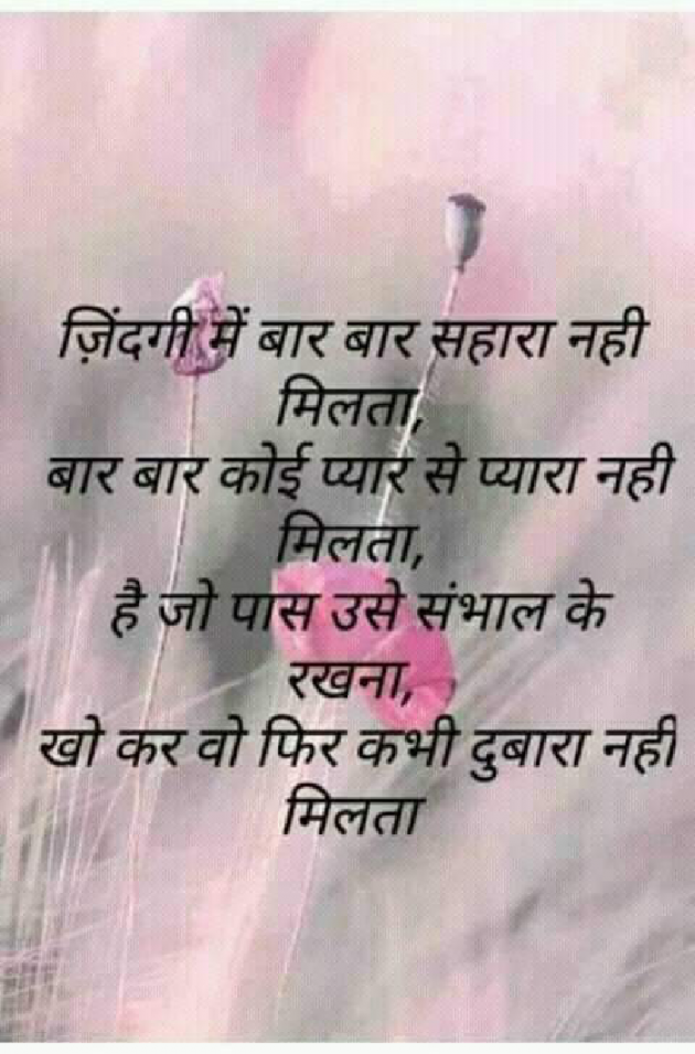 Hindi Quotes by Sharwan Yadav : 111156752