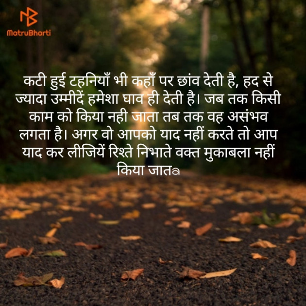 English Shayri by Yogi : 111156766