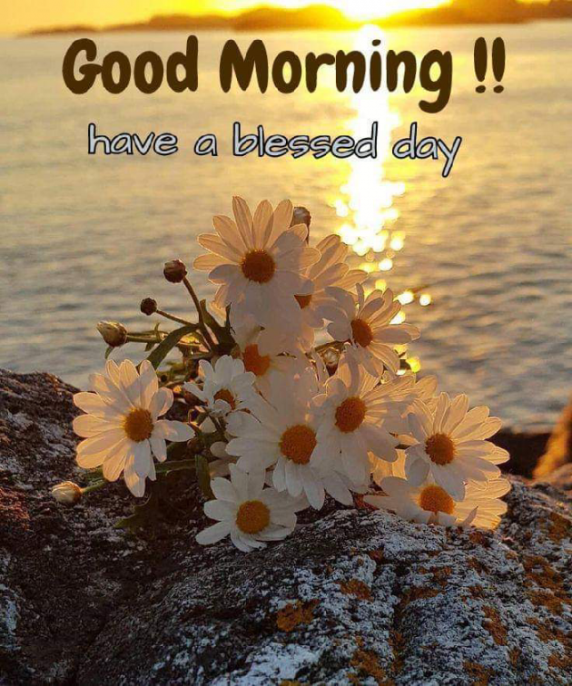 Hindi Good Morning by Saxena Aanand : 111157474