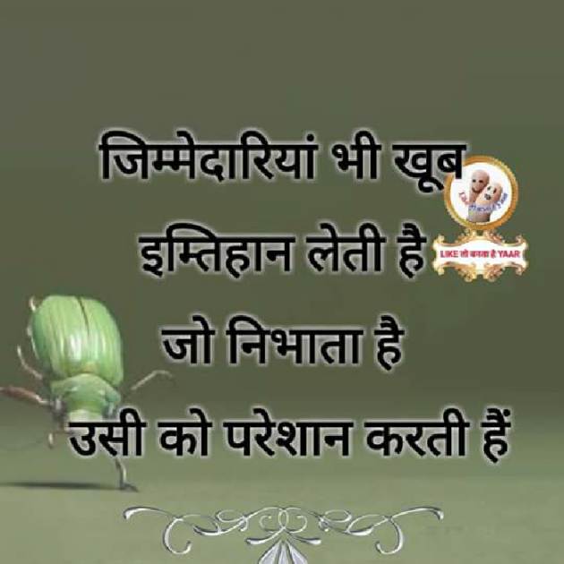 Hindi Motivational by docteramit : 111157597